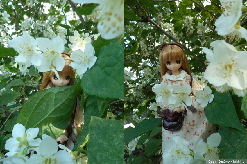 В летнем лесу — Куклы Azone (Азон) и тела Pure Neemo: фото (фото 3)