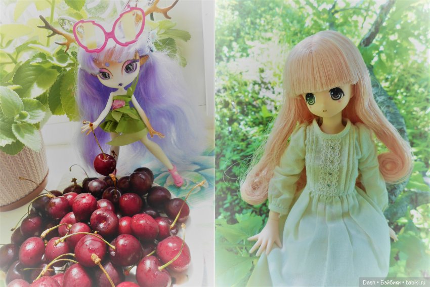 Выходные в деревне — Куклы Azone (Азон) и тела Pure Neemo: фото