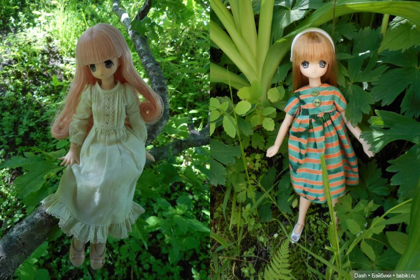 Выходные в деревне — Куклы Azone (Азон) и тела Pure Neemo: фото (фото 8)