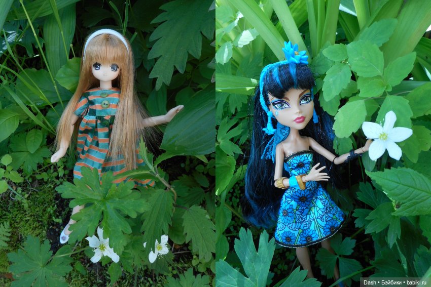 Выходные в деревне — Куклы Azone (Азон) и тела Pure Neemo: фото (фото 5)