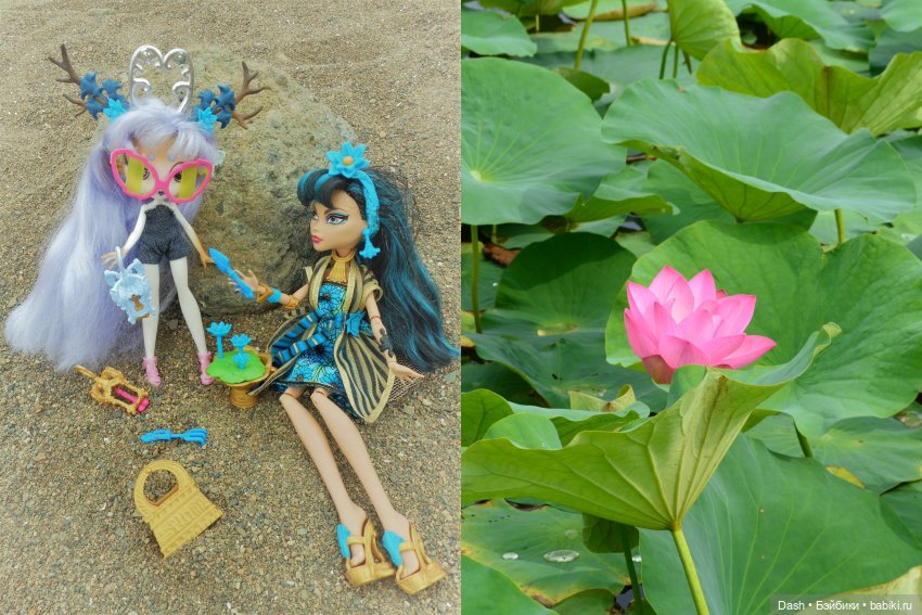 Ханка – самое большое озеро Дальнего Востока