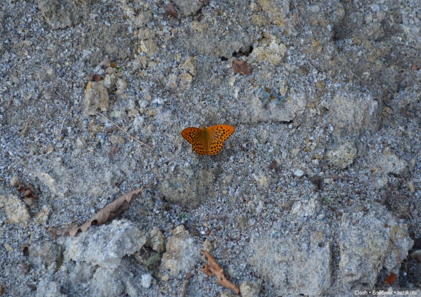 Ханка – самое большое озеро Дальнего Востока