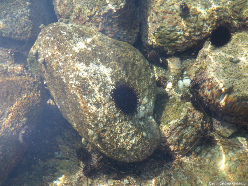 Отдых в голубой лагуне — Куклы Fairyland (ФэйриЛэнд): BJD (БЖД) (фото 6)