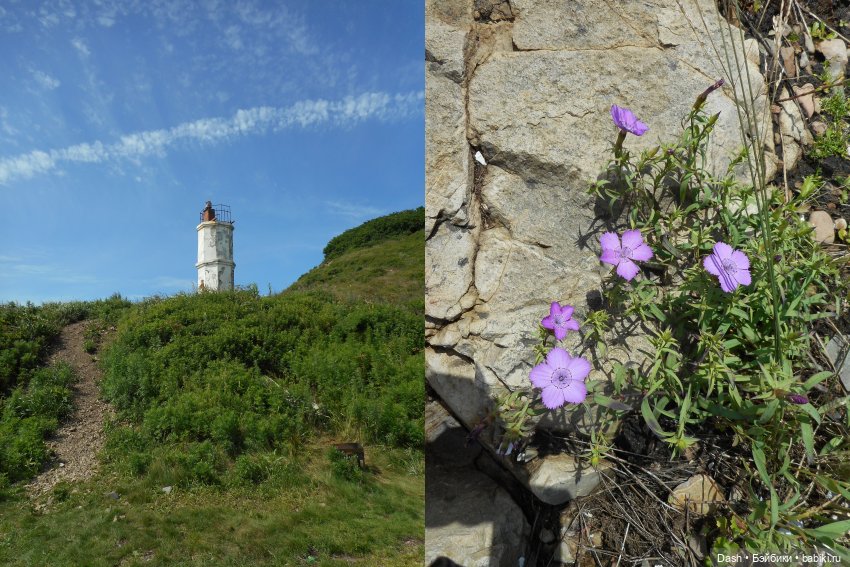 Отдых в голубой лагуне — Куклы Fairyland (ФэйриЛэнд): BJD (БЖД) (фото 9)