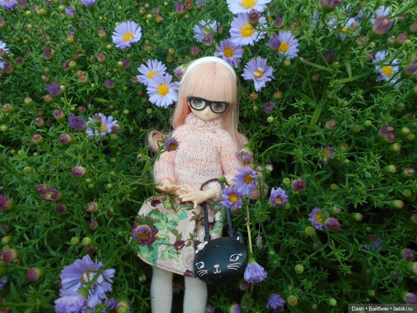 Теплая осень — Аниме куклы (MJD/Винил): Imomo (фото 6)