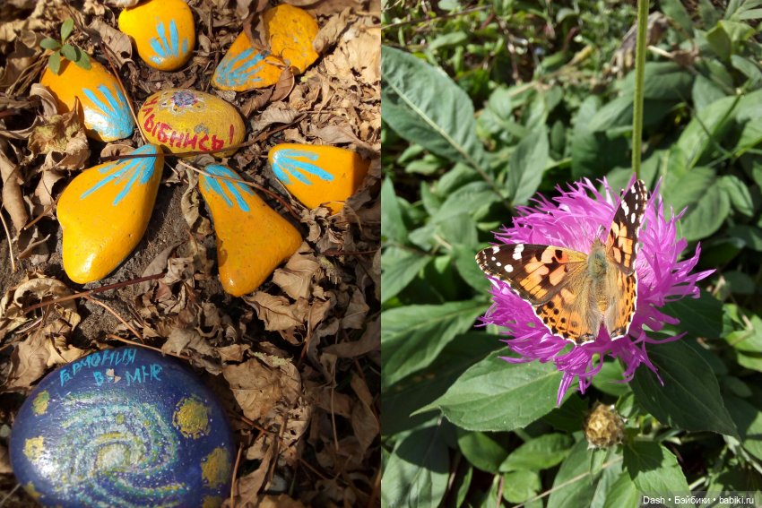 Теплая осень — Аниме куклы (MJD/Винил): Imomo (фото 9)