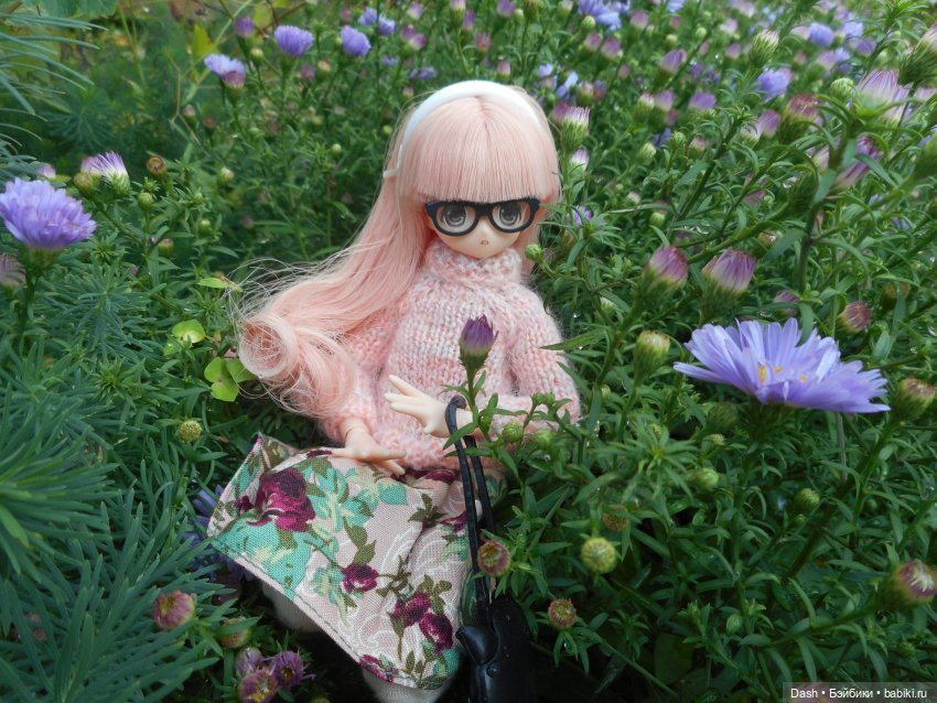 Теплая осень — Аниме куклы (MJD/Винил): Imomo