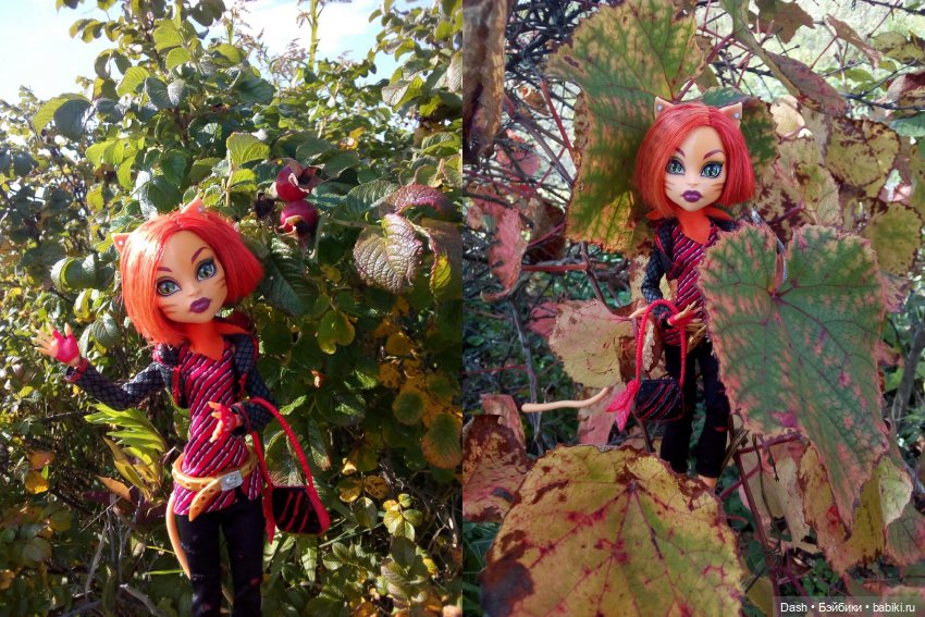 Собираем урожай — Куклы Monster High и Ever After High: G1 (фото 5)
