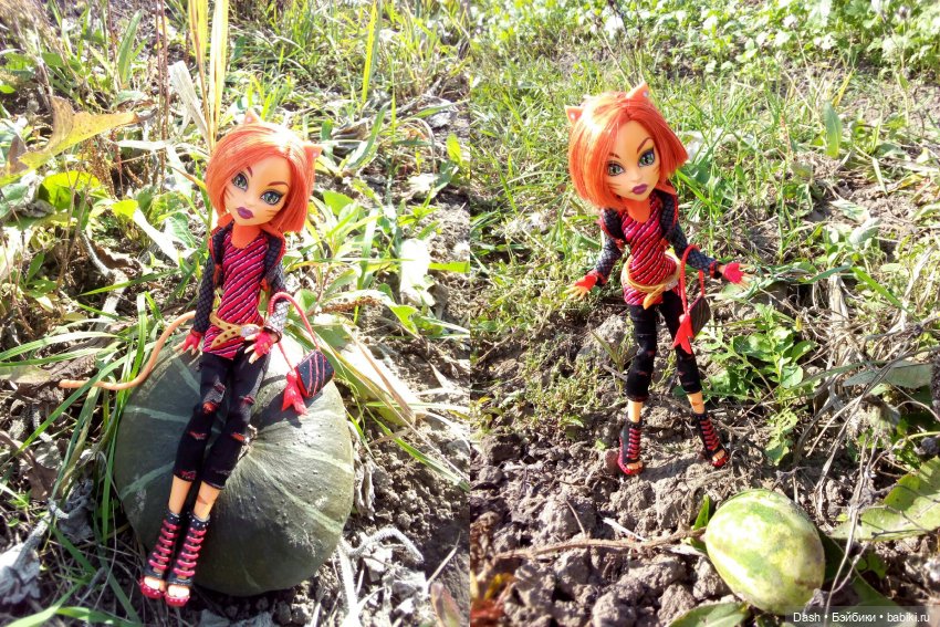 Собираем урожай — Куклы Monster High и Ever After High: G1 (фото 3)