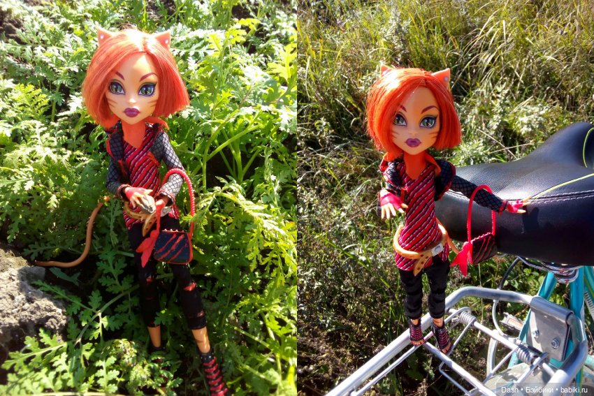 Собираем урожай — Куклы Monster High и Ever After High: G1 (фото 7)