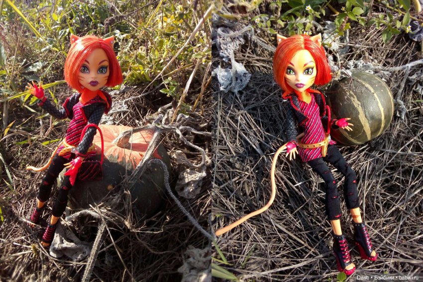 Собираем урожай — Куклы Monster High и Ever After High: G1 (фото 2)