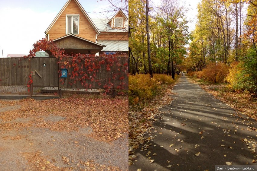 Краски октября — Куклы Monster High и Ever After High: G1 (фото 2)