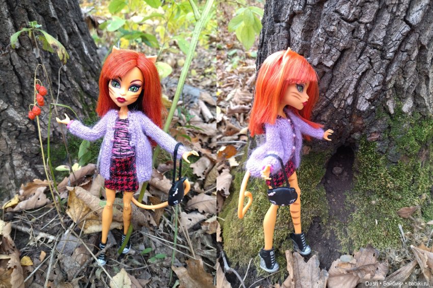 Краски октября — Куклы Monster High и Ever After High: G1 (фото 5)