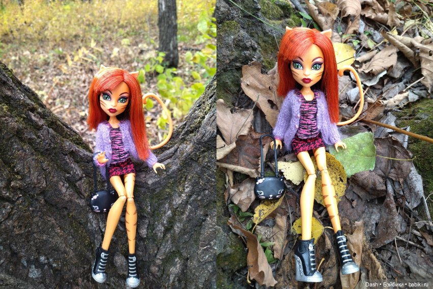 Краски октября — Куклы Monster High и Ever After High: G1 (фото 3)