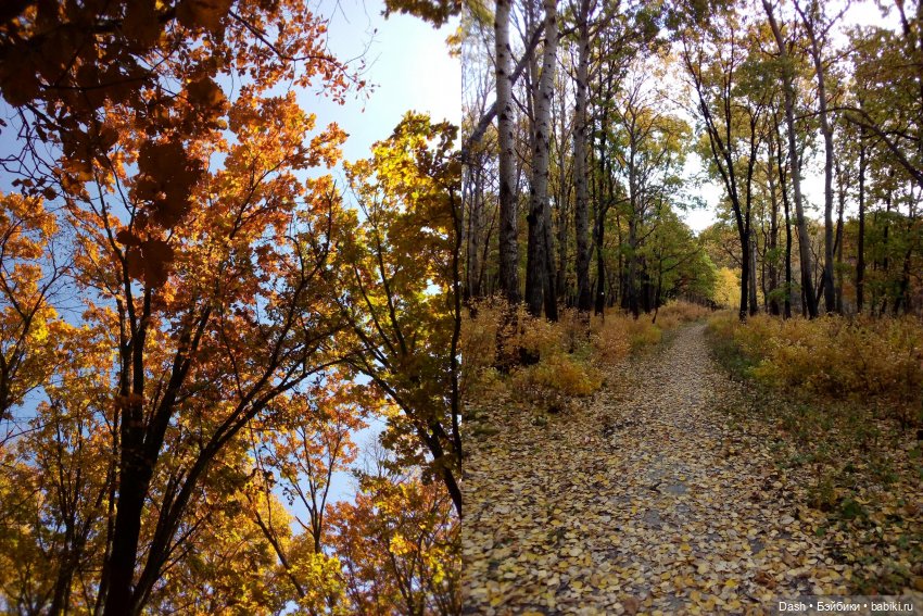 Краски октября — Куклы Monster High и Ever After High: G1 (фото 6)