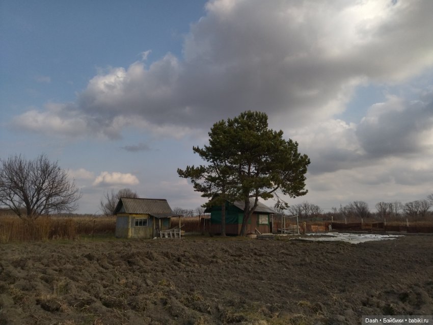 "Осень. Тишина в поселке дачном..."
