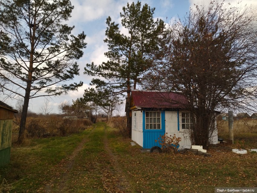 "Осень. Тишина в поселке дачном..." (фото 2)