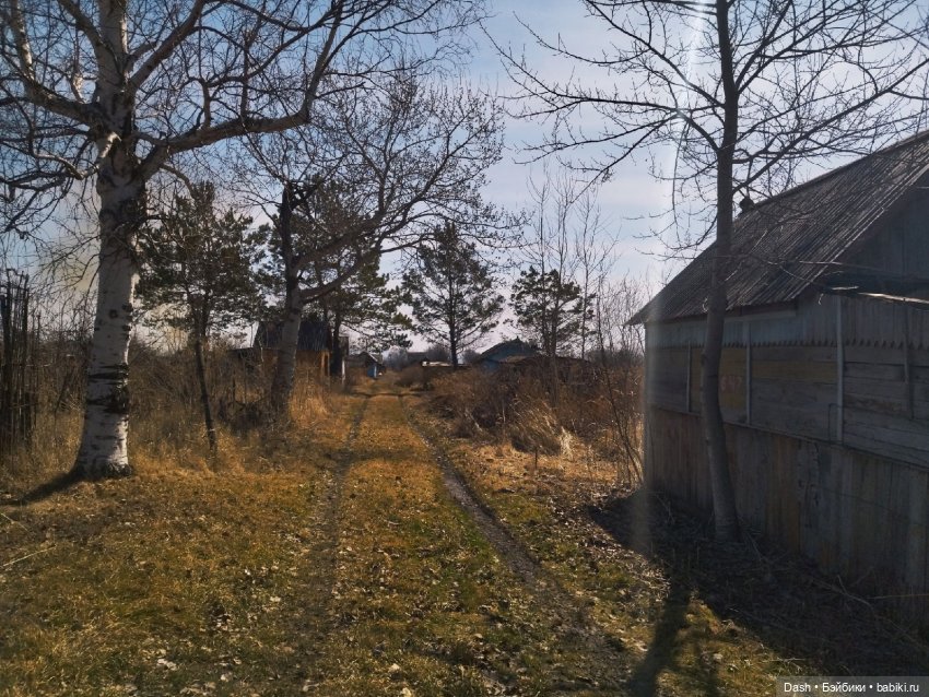 Весенняя лесная фея — Интерактивные куклы (говорящие (фото 6)