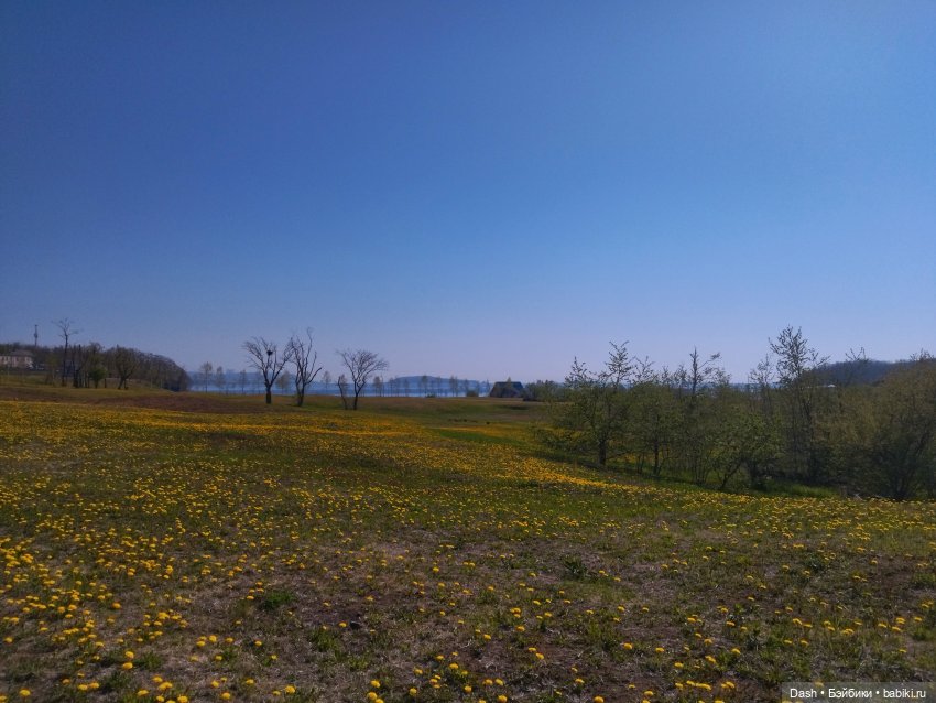 Огневушка-Поскакушка — Интерактивные куклы (говорящие (фото 8)