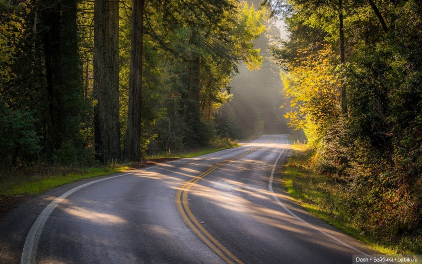 Тайный дом. Глава 2. Заколдованный лагерь (фото 4)