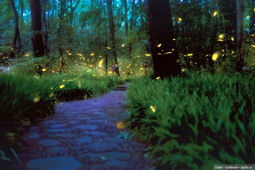 Тайный дом. Глава 3. Моль, дриада и еще кое-кто (фото 3)