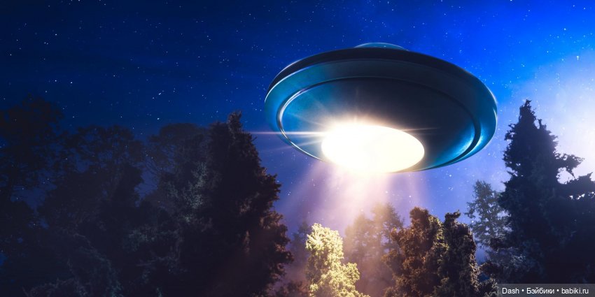 Тайный дом. Глава 3. Моль, дриада и еще кое-кто (фото 7)