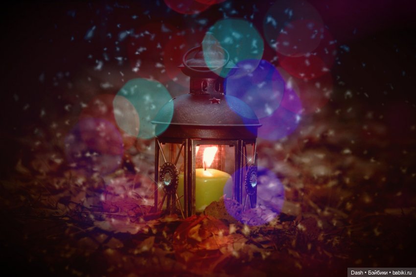 Тайный дом. Глава 3. Моль, дриада и еще кое-кто (фото 8)