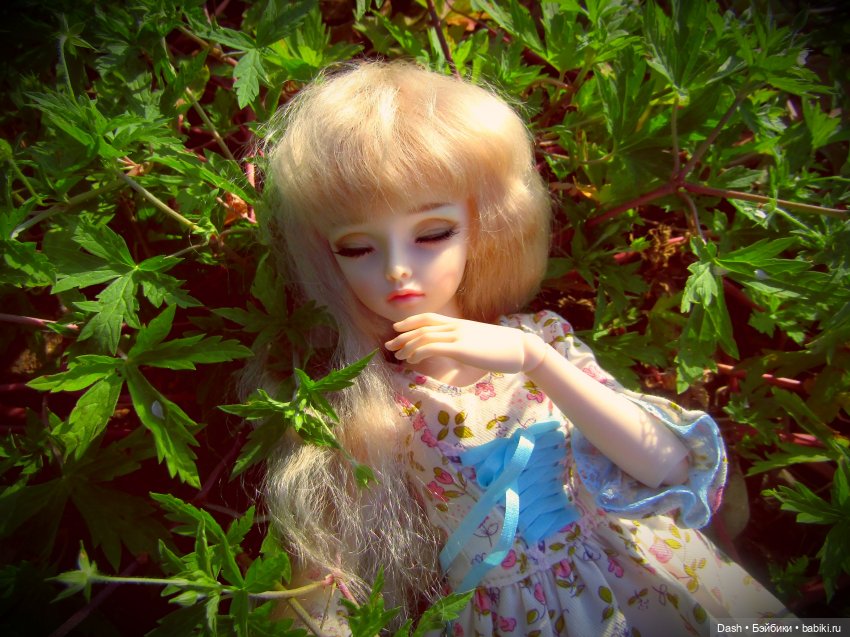 Тайный дом. Глава 5. Можно ли простить подлость