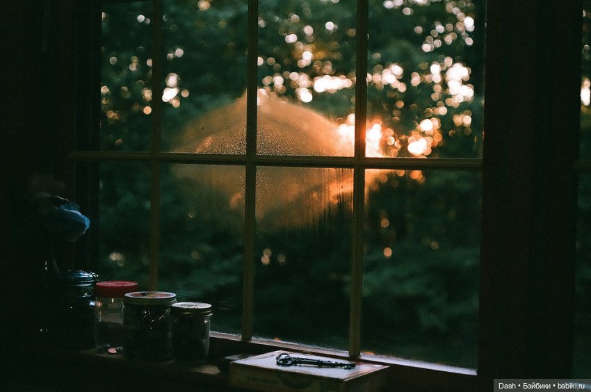 Тайный дом. Глава 5. Можно ли простить подлость (фото 7)