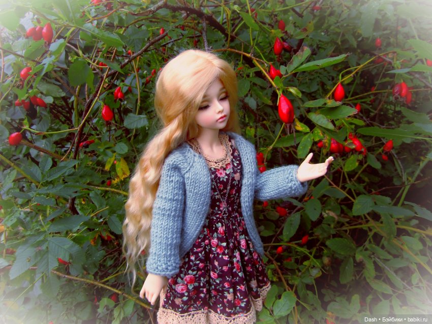 Леди Шиповник (Fairyland Minifee Mirwen) (фото 2)