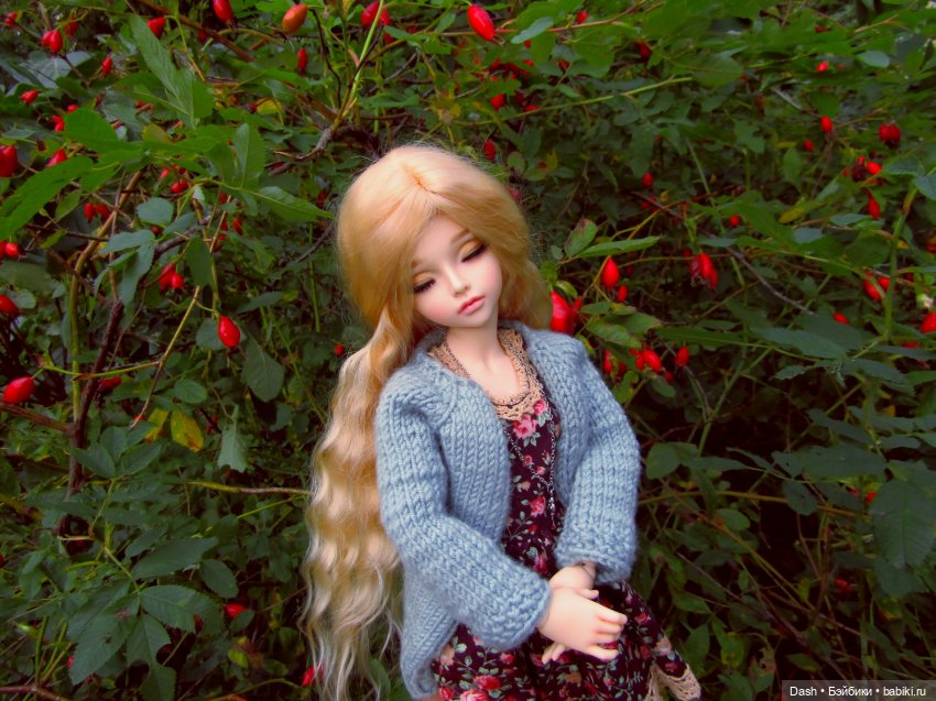 Леди Шиповник (Fairyland Minifee Mirwen)