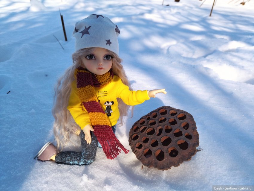 Среди замерзших лотосов — Куклы Fairyland (ФэйриЛэнд): BJD (БЖД) (фото 4)