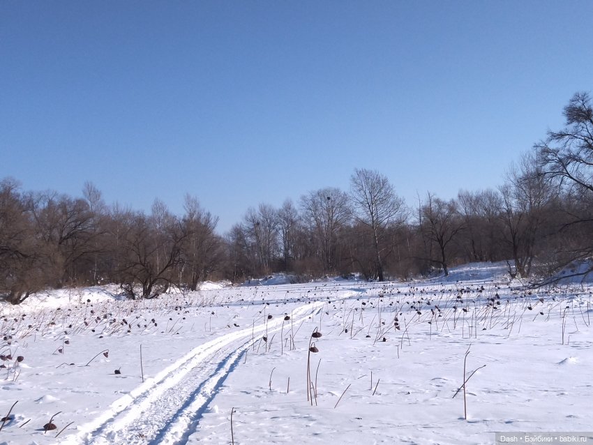 Среди замерзших лотосов — Куклы Fairyland (ФэйриЛэнд): BJD (БЖД) (фото 2)