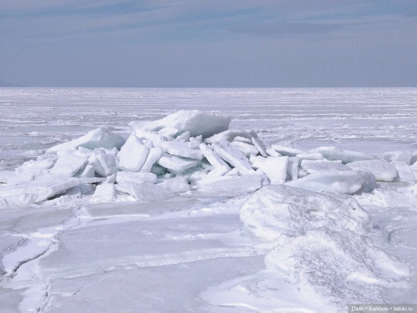 Зайки вышли погулять — Куклы Fairyland (ФэйриЛэнд): BJD (БЖД) (фото 6)