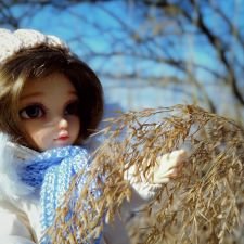 О чём вчера шептались камыши?..