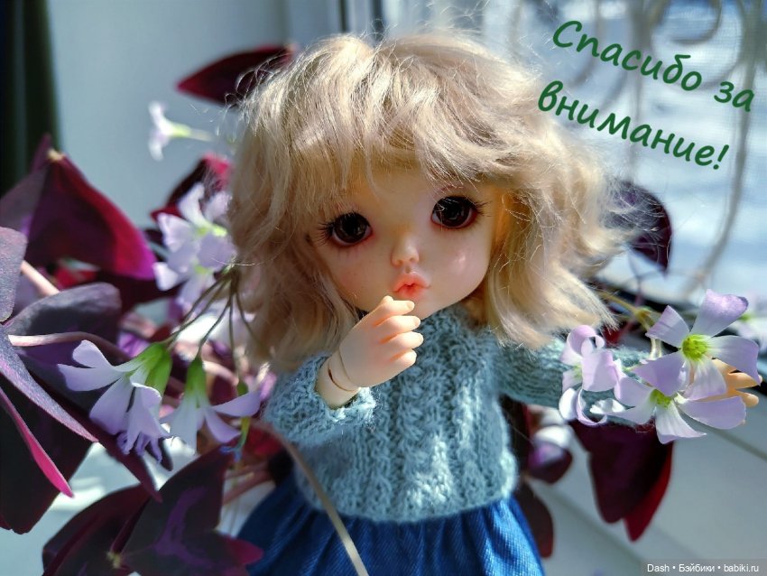 Эми - моя первая Пукифи (Pukifee Zio) (фото 8)