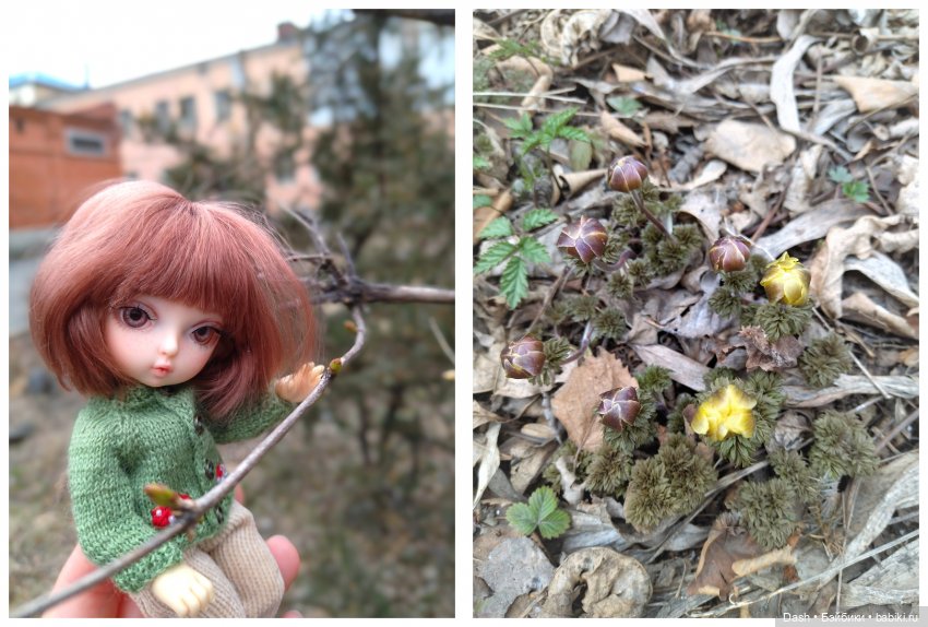 Юный эльф и первоцветы — Куклы Fairyland (ФэйриЛэнд): BJD (БЖД)