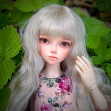 Королева тайного сада