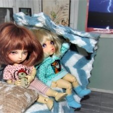 Переполох из-за грозы