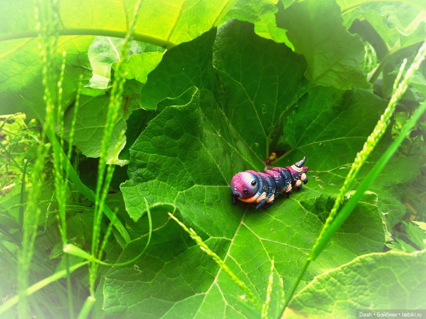 Превращение Марьяны — Куклы Fairyland (ФэйриЛэнд): BJD (БЖД) (фото 7)