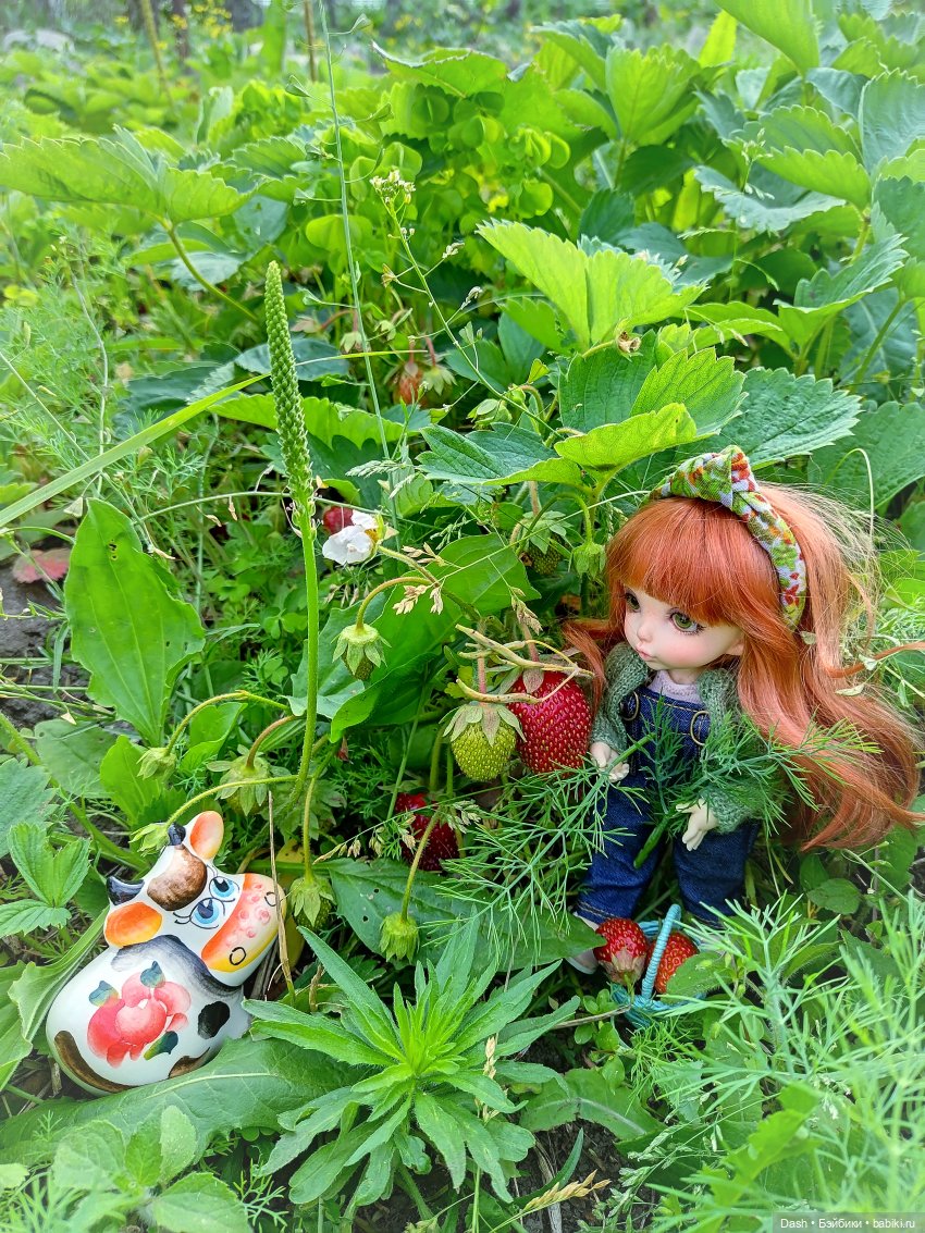 Ягодная феечка — Куклы Fairyland (ФэйриЛэнд): BJD (БЖД) (фото 6)