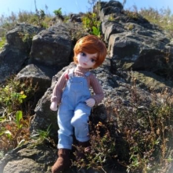 Густи на вершине