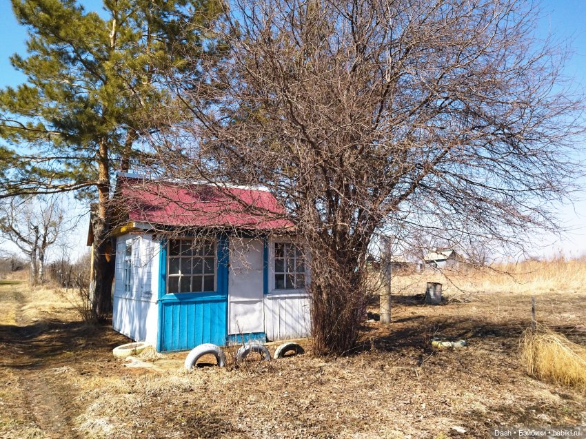 Апрельские похождения Густи | Бэйбики Апрельские похождения Густи (фото 4)