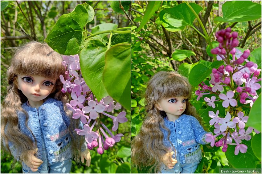 Цветы и море - день чудесный (фото 5)