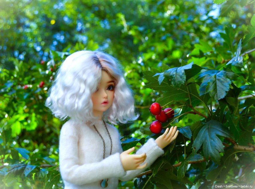 Осень Амайи — Куклы Fairyland (ФэйриЛэнд): BJD (БЖД) (фото 2)