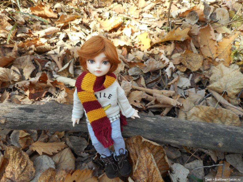 Маленький осенний лисёнок (фото 5)