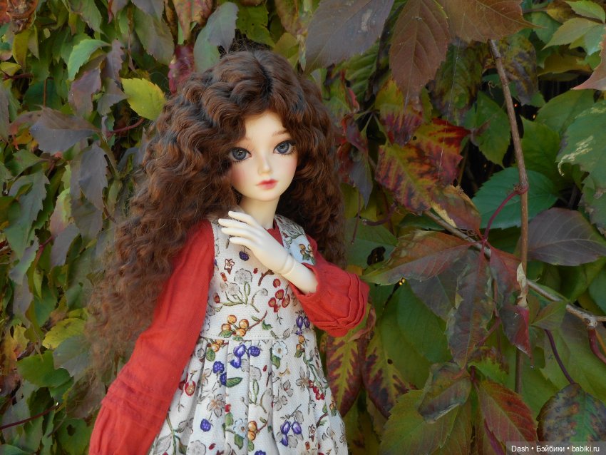 Долгожданная мечта - Minifee Shushu (фото 5)