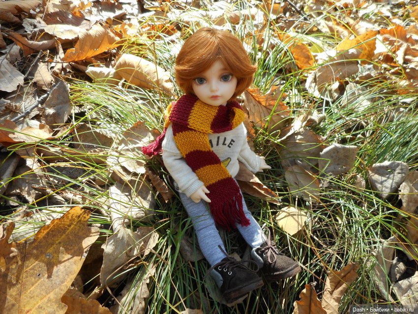 Маленький осенний лисёнок (фото 4)