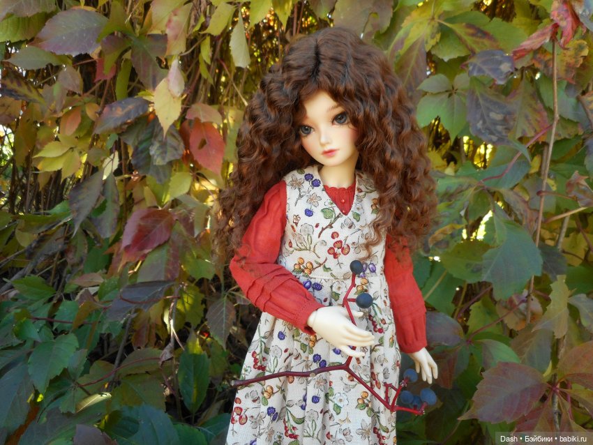 Долгожданная мечта - Minifee Shushu (фото 2)