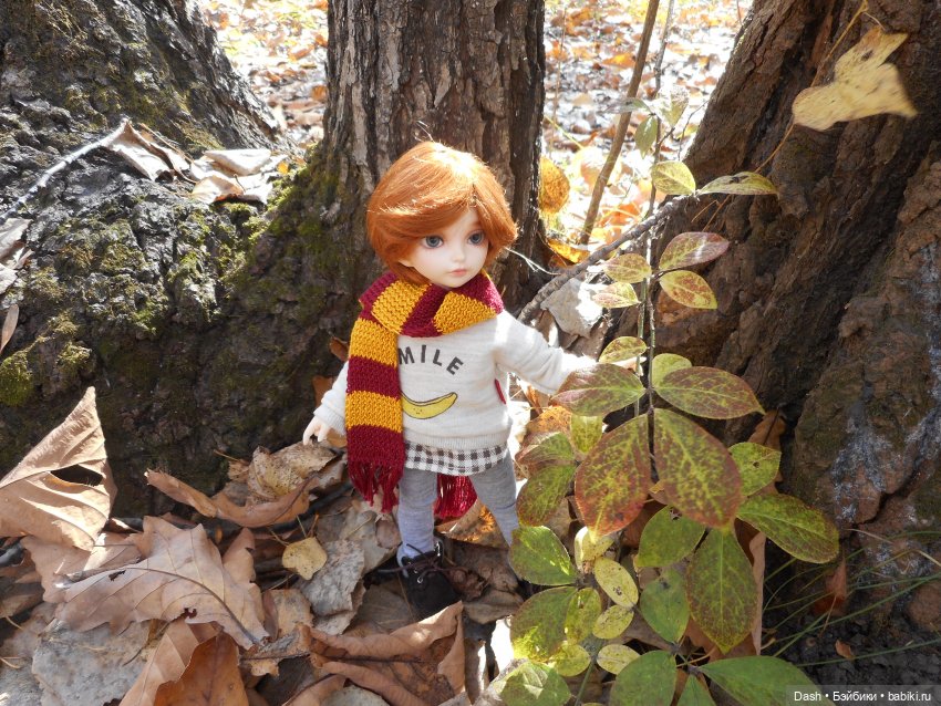 Маленький осенний лисёнок (фото 6)